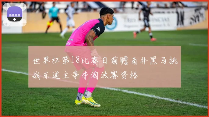 世界杯第18比赛日前瞻南非黑马挑战东道主争夺淘汰赛资格